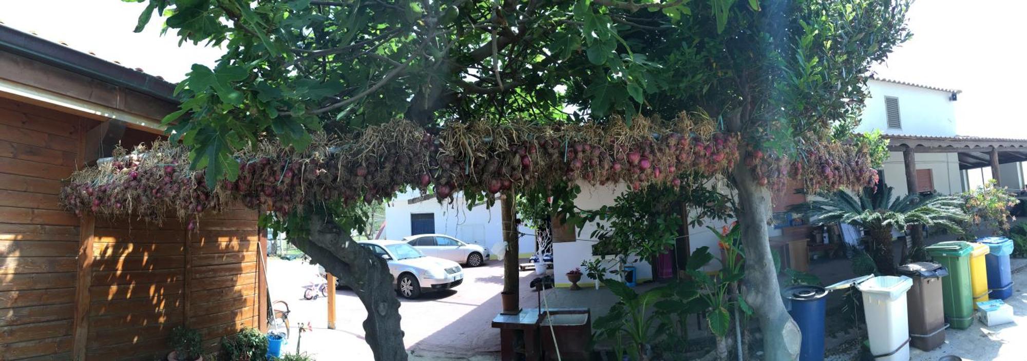 Holiday park Villaggio Camping La Scogliera Ricadi